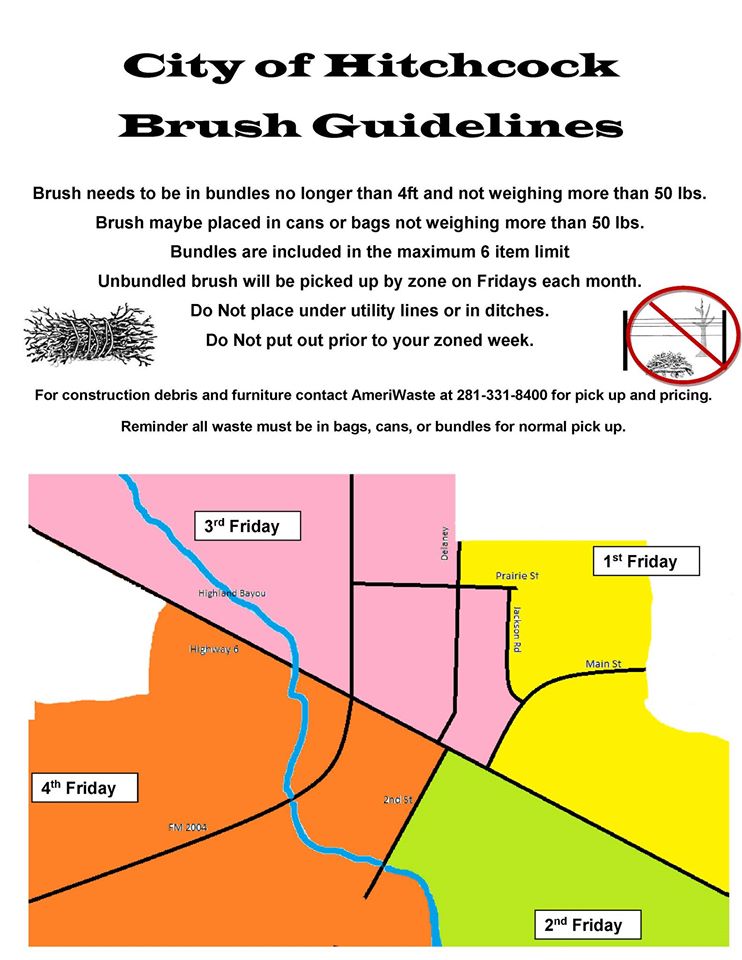 Brush Guidelines